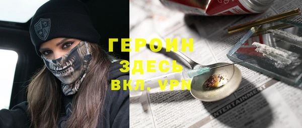 индика Беломорск