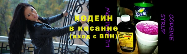 индика Беломорск