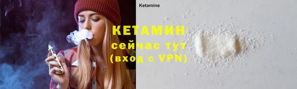 молекула духа Снежногорск