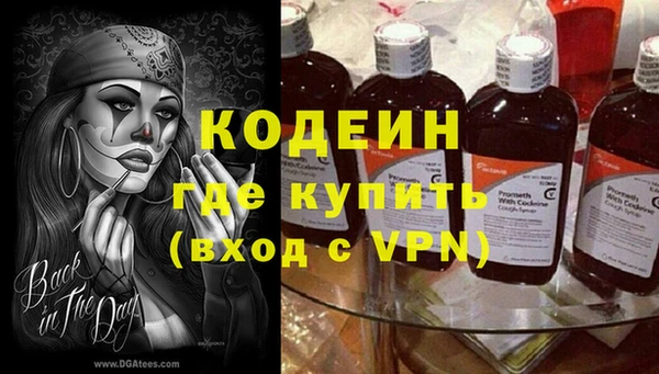 индика Беломорск