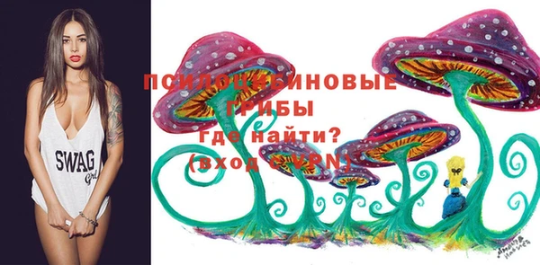 индика Беломорск