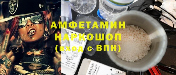 индика Беломорск