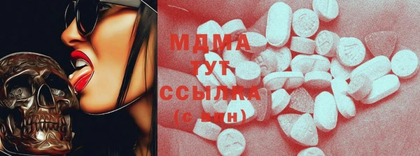молекула духа Снежногорск
