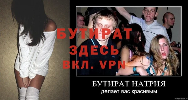 индика Беломорск