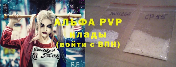 индика Беломорск