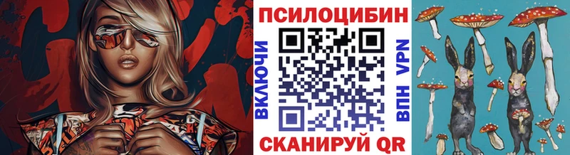 Псилоцибиновые грибы MAGIC MUSHROOMS  Вытегра 