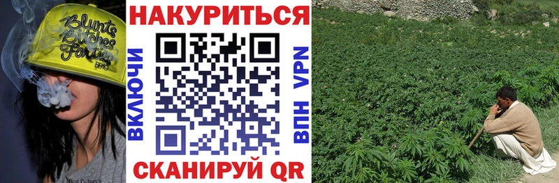 Конопля план Вытегра